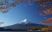 富士山　芸術の源泉 (3)